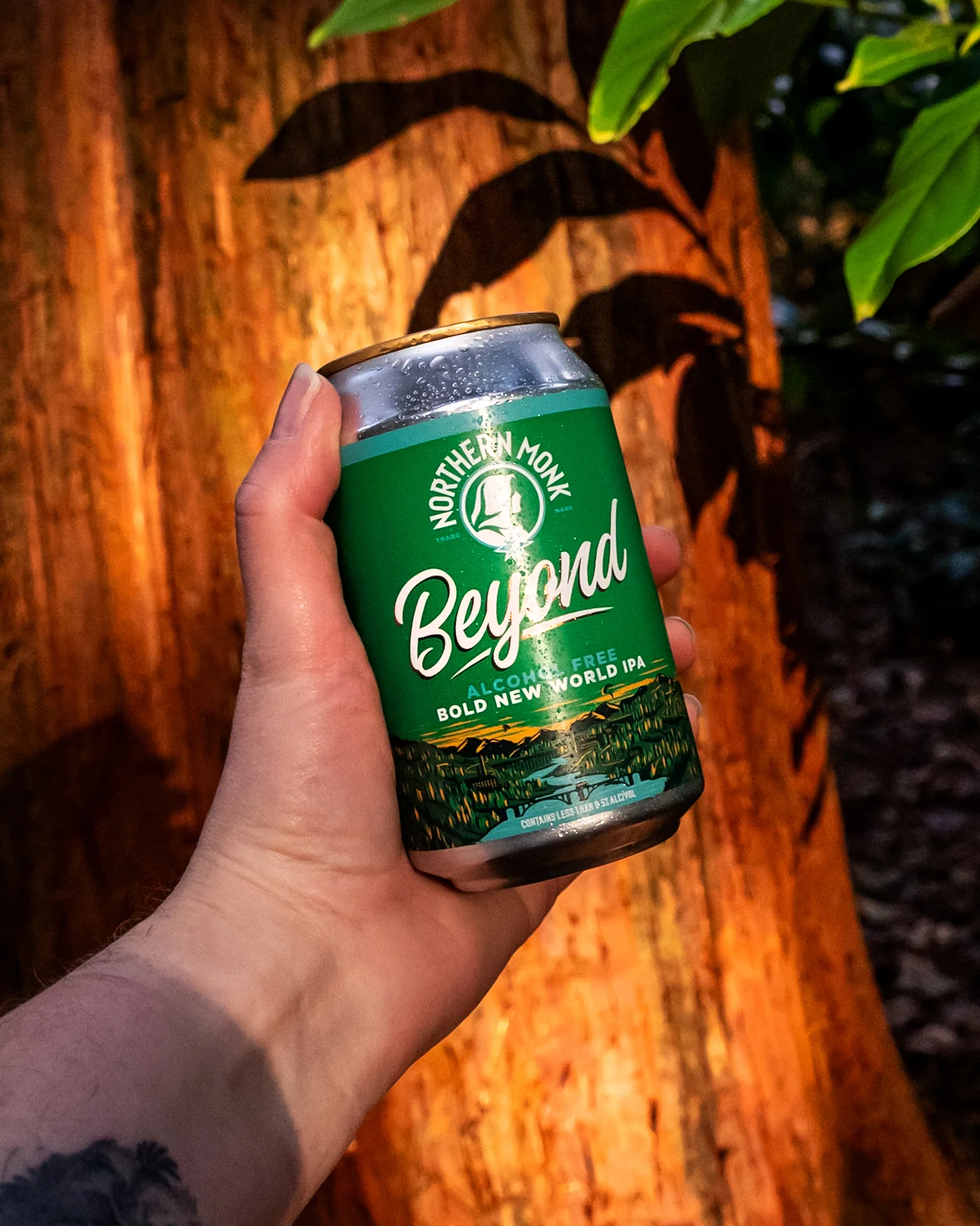 BEYOND ALCOHOL FREE // ALCOHOL-FREE NEW WORLD IPA // 0.3% - Image 4