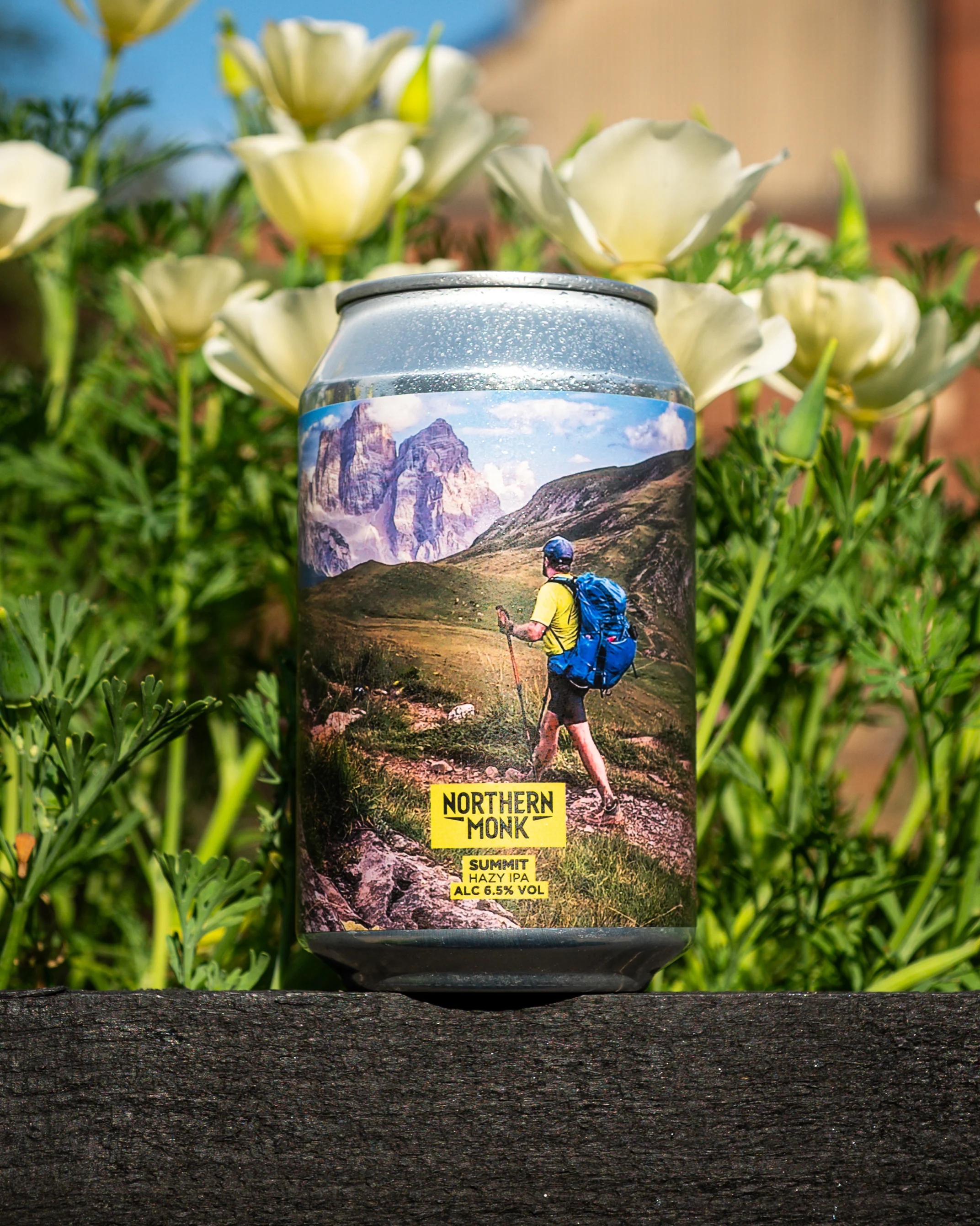 SUMMIT // HAZE OUTDOORS // POLLY'S // HAZY IPA // 6.5% - Image 3